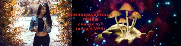 героин Ладушкин