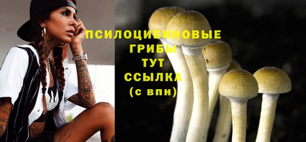 героин Кукмор