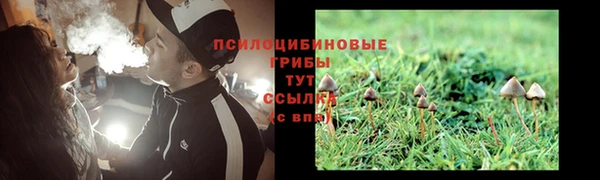 метадон Лагань