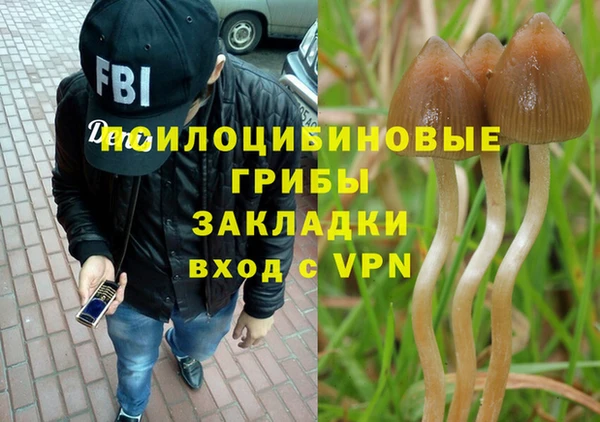 а пвп мука Кулебаки