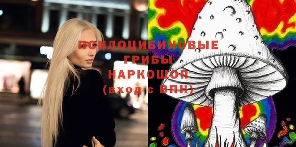 винт Куйбышев