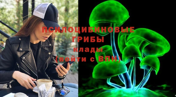 винт Куйбышев