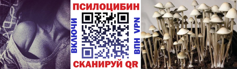 omg ссылка  Муравленко  Псилоцибиновые грибы Magic Shrooms  купить закладку 