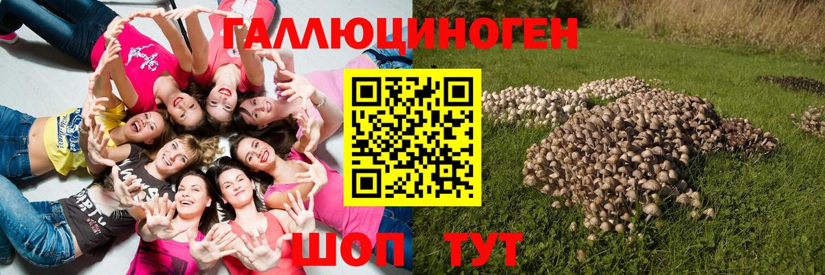 Галлюциногенные грибы мицелий  Вход с VPN  Муравленко 