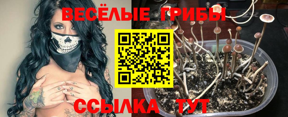 Галлюциногенные грибы мицелий  Муравленко 